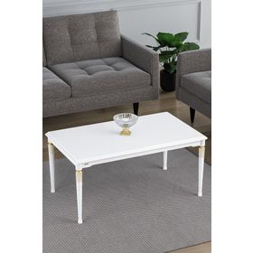 Canisa Concept Zeyra MDF ve Lake Boya Orta Sehpa