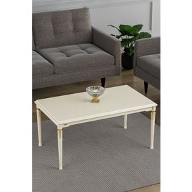 Canisa Concept Zeyra MDF ve Lake Boya Orta Sehpa