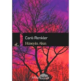 Canlı Renkler - r huseyin akin