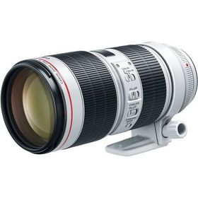 Canon 200mm f-2 EF IS USM Lens