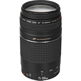 Canon 75-300mm USM Lens