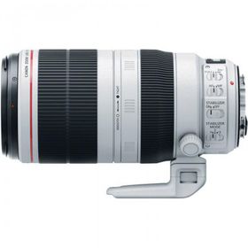 Canon EF 100-400mm f/4.5-5.6L IS USM Lens