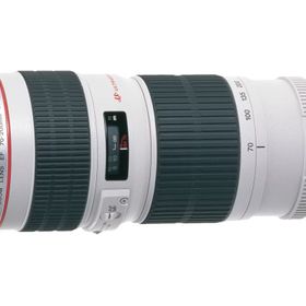 Canon EF 70-200mm f/4L USM Lens