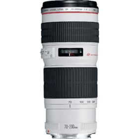 Canon EF 70-200mm f/4L USM Lens