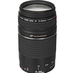 Canon EF 75-300mm USM F4-5.6 Lens
