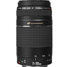 Canon EF 75-300mm USM F4-5.6 Lens