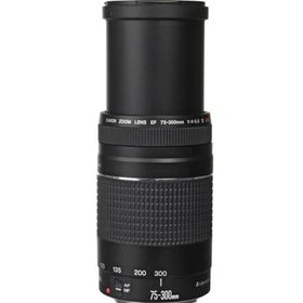 Canon EF 75-300mm USM F4-5.6 Lens