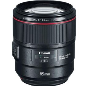 Canon EF 85mm F1.4L IS USM Lens