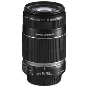 Canon EF-S 55-250mm f/4-5.6 IS STM Lens