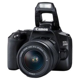 Canon EOS 250D + 18-55mm DSLR Fotoğraf Makinesi