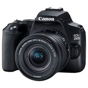 Canon EOS 250D + EF-S 18-55 mm f/4-5.6 IS STM Siyah Fotoğraf Makinesi