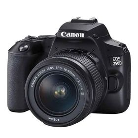 Canon EOS 250D + EF-S 18-55mm f/3.5-5.6 DC III Siyah Fotoğraf Makinesi