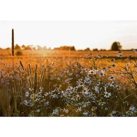 Canon EOS 700D 18-200mm Lens DSLR Fotoğraf Makinesi