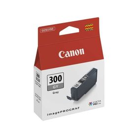 Canon PFI-300/4200C001 Gri Kartuş