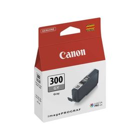 Canon PFI-300/4200C001 Gri Kartuş
