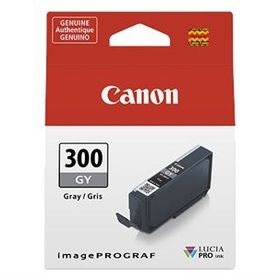 Canon PFI-300/4200C001 Gri Kartuş