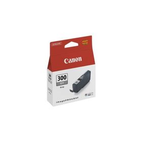Canon PFI-300/4200C001 Gri Kartuş