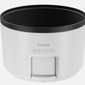 Canon RF 70-200 mm F-2.8L IS USM Lens