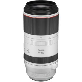 Canon RF100-500MM F4.5-7.1 L IS Lens