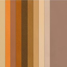 Canson 10'lu Kahve Tonlar 50x65 160 g Fon Kartonu