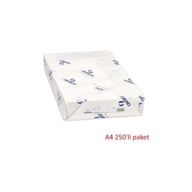 Canson 200 gr 250'li A4 Resim Kağıdı