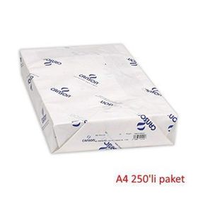 Canson 200 gr 250'li A4 Resim Kağıdı