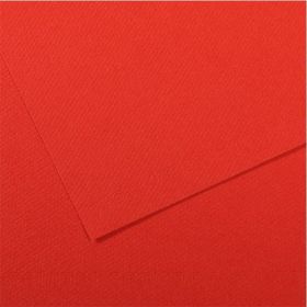 Canson 506 Poppy 50x65 cm 160 gr 25'li Dokulu Fon Kartonu