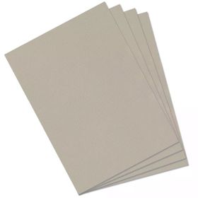 Canson Dokulu Mi-Teintes Sh Canmt 50x65 cm 160 gr Açık Grey 426 10'lu Fon Kartonu