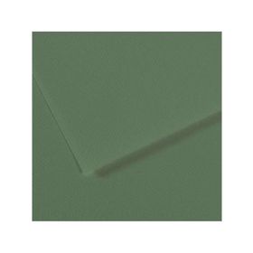 Canson Dokulu Mi-Teintes Sh Canmt 50x65 cm 160 gr Grn Sage Yeşil 190 10'lu Fon Kartonu