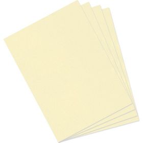 Canson Dokulu Mi-Teintes Sh Canmt 50x65 cm 160 gr Pastel Yelllow 407 10'lu Fon Kartonu