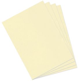 Canson Dokulu Mi-Teintes Sh Canmt 50x65 cm 160 gr Pastel Yelllow 407 10'lu Fon Kartonu