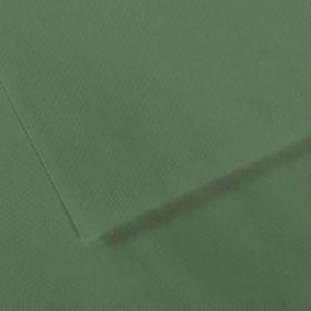 Canson GRN 190 Dokulu Mi-Teintes Sh Canmt 50x65 CM 160 GR Fon Kartonu