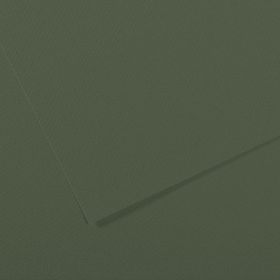Canson Sh Canmt 50x65 cm 160 gr Pastel Dokulu GRN 448 10'lu Fon Kartonu