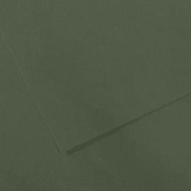Canson Sh Canmt 50x65 cm 160 gr Pastel Dokulu GRN 448 10'lu Fon Kartonu