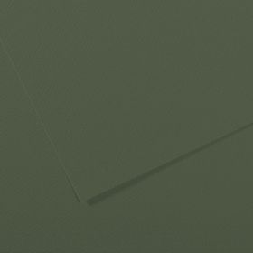 Canson Sh Canmt 50x65 cm 160 gr Pastel Dokulu GRN 448 10'lu Fon Kartonu