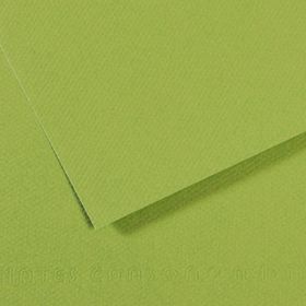 Canson Sh Canmt 50x65 cm 160 gr Pastel Dokulu GRN 475 10'lu Fon Kartonu