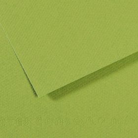 Canson Sh Canmt 50x65 cm 160 gr Pastel Dokulu GRN 475 10'lu Fon Kartonu