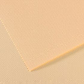 Canson YLW 11 Dokulu Mi-Teintes 25'li 50x65 cm 160 gr Fon Kartonu