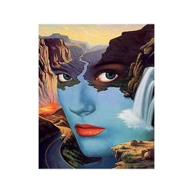 Canvas Hobby 60 x 75 cm Bir Varoluş Hikayesi Kasnaklı Sayılarla Boyama Seti Duvar Sticker