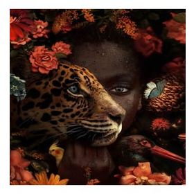 Canvas Hobby Afrikalı Güzel ve Dostları Kasnaklı 70 x 90 cm Sayılarla Boyama Seti