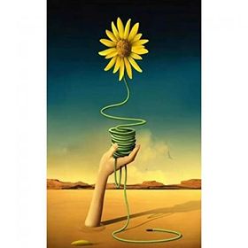 Canvas Hobby Arnika Kasnaklı 70 x 90 cm Sayılarla Boyama Seti