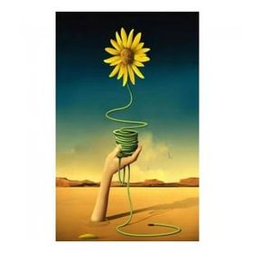 Canvas Hobby Arnika Kasnaklı 70 x 90 cm Sayılarla Boyama Seti