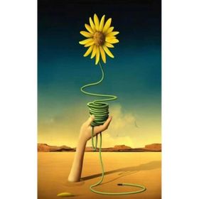Canvas Hobby Arnika Rulo 100 x 140 cm Sayılarla Boyama Seti