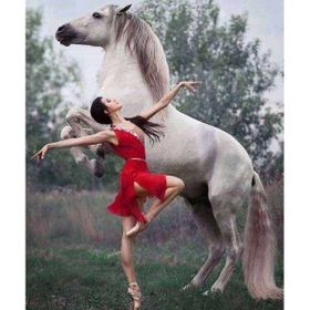 Canvas Hobby Asil At ve Asil Güzel Kasnaklı 100 x 140 cm Sayılarla Boyama Seti