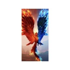 Canvas Hobby Ateş ve Su Anka Kuşu Rulo 100 x 140 cm Sayılarla Boyama Seti