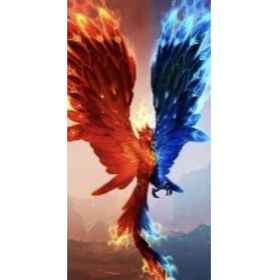 Canvas Hobby Ateş ve Su Anka Kuşu Rulo 100 x 140 cm Sayılarla Boyama Seti