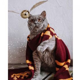 Canvas Hobby Atkılı Kedi Kasnaklı 100 x 140 cm Sayılarla Boyama Seti