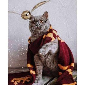 Canvas Hobby Atkılı Kedi Kasnaklı 60 x 75 cm Sayılarla Boyama Seti