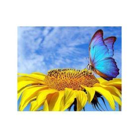 Canvas Hobby Ayçiçek ve Kelebek Kasnaklı 100 x 140 cm Sayılarla Boyama Seti