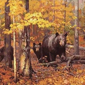 Canvas Hobby Ayı Ailesi 100x140 cm Kasnaklı Sayılarla Boyama Seti